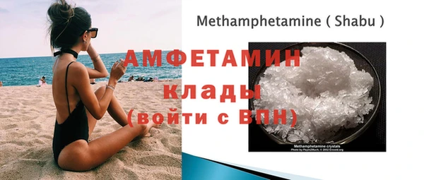ГАЛЛЮЦИНОГЕННЫЕ ГРИБЫ Аркадак