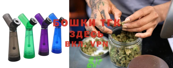 хмурый Арсеньев