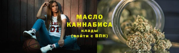 хмурый Арсеньев
