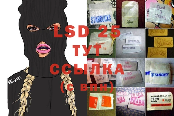 хмурый Арсеньев