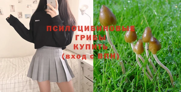 ГАЛЛЮЦИНОГЕННЫЕ ГРИБЫ Аркадак