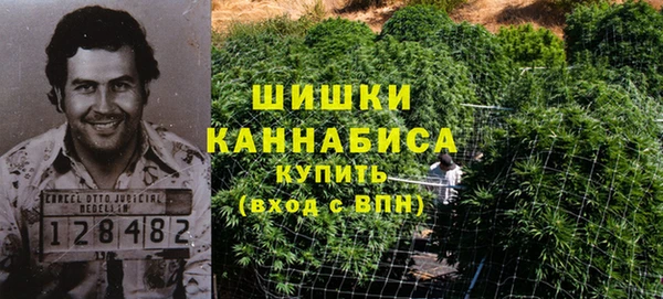 гидра Армянск