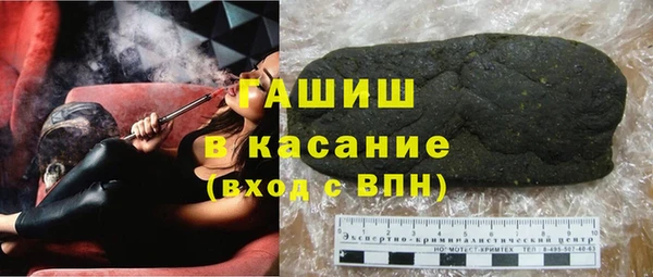 хмурый Арсеньев