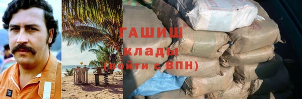 хмурый Арсеньев