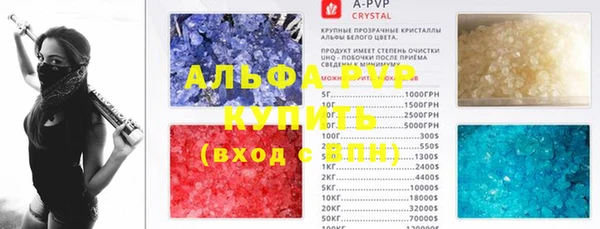 ГАЛЛЮЦИНОГЕННЫЕ ГРИБЫ Аркадак