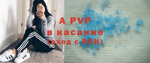 хмурый Арсеньев