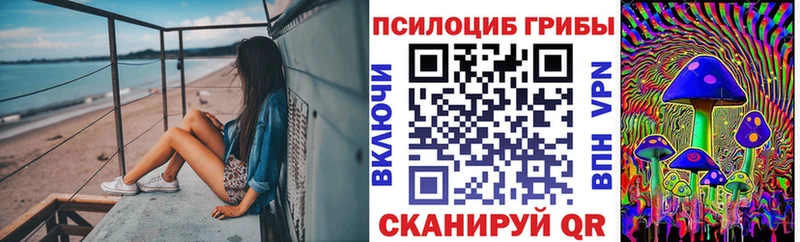 Галлюциногенные грибы Psilocybine cubensis  Рославль 